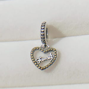 A loving family Charm,Bracelet Charm,Silver Charm