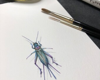 Miniature Watercolor Painting Cricket