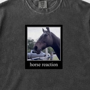 May include: Dark gray t-shirt featuring a framed image of a horse's head with the text "horse reaction" below. The horse is dark brown, and the image is in black and white. The shirt has a crew neck and short sleeves.