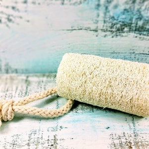 Organic Natural 4 Loofah, loofa, luffa, vegan loofah, natural sponge, exfoliating loofah, loofah gourd, spa and gift basket accessory, gift image 3