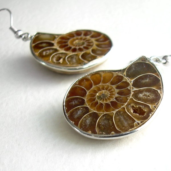Ammonite Fossil Jewelry, Nautilus Earrings, Fossilized Brown Stone