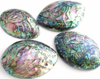 Abalone Shell Pendant Beads, Natural Seashell Destash, Make Your Own Jewelry, DIY Supplies