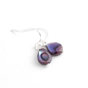May include: A pair of teardrop earrings with iridescent purple and blue tones. The earrings are suspended from silver hooks. The pearlescent finish reflects light, creating a shimmering effect. The earrings are set against a white background.