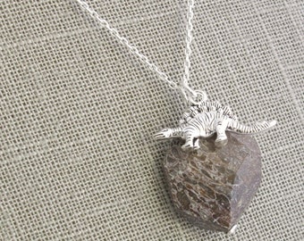 Dinosaur Bone Jewelry, Fossil Necklace, Brown Stone Pendant