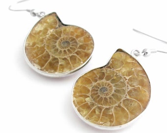 Caramel Fossil Earrings, Cephalopod Nautilus Science Jewelry, Ammonite Earrings