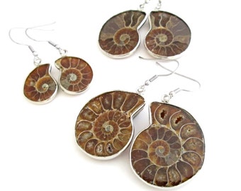 Fossil Ammonite Earrings, Seconds - Pick Your Pair, Big or Small