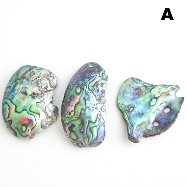 Paua Abalone Shell Pendant Beads, Set of 3, Natural Seashell, Drilled - great for wire wrapping