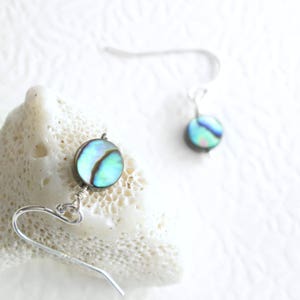 blue and green rounds abalone shell earrings, sterling silver hooks, one resting on coral