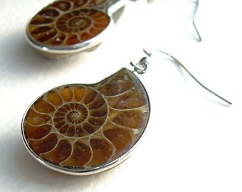 Small Ammonite Earrings, Science Geek Jewelry, Fossil Gifts for Geologists