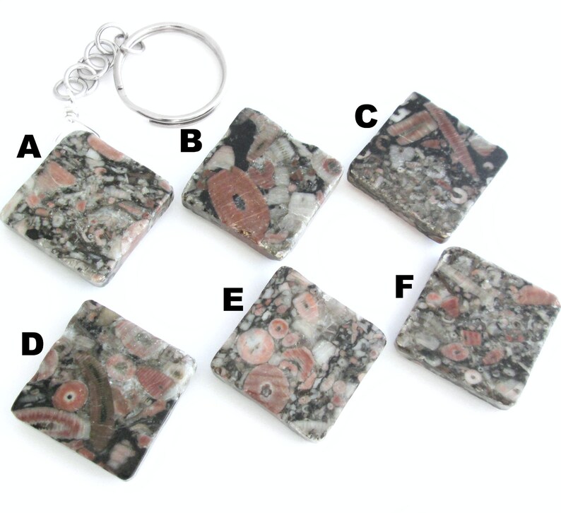 Crinoid Fossil Jasper Key Chain Charcoal Grey Key Ring Etsy
