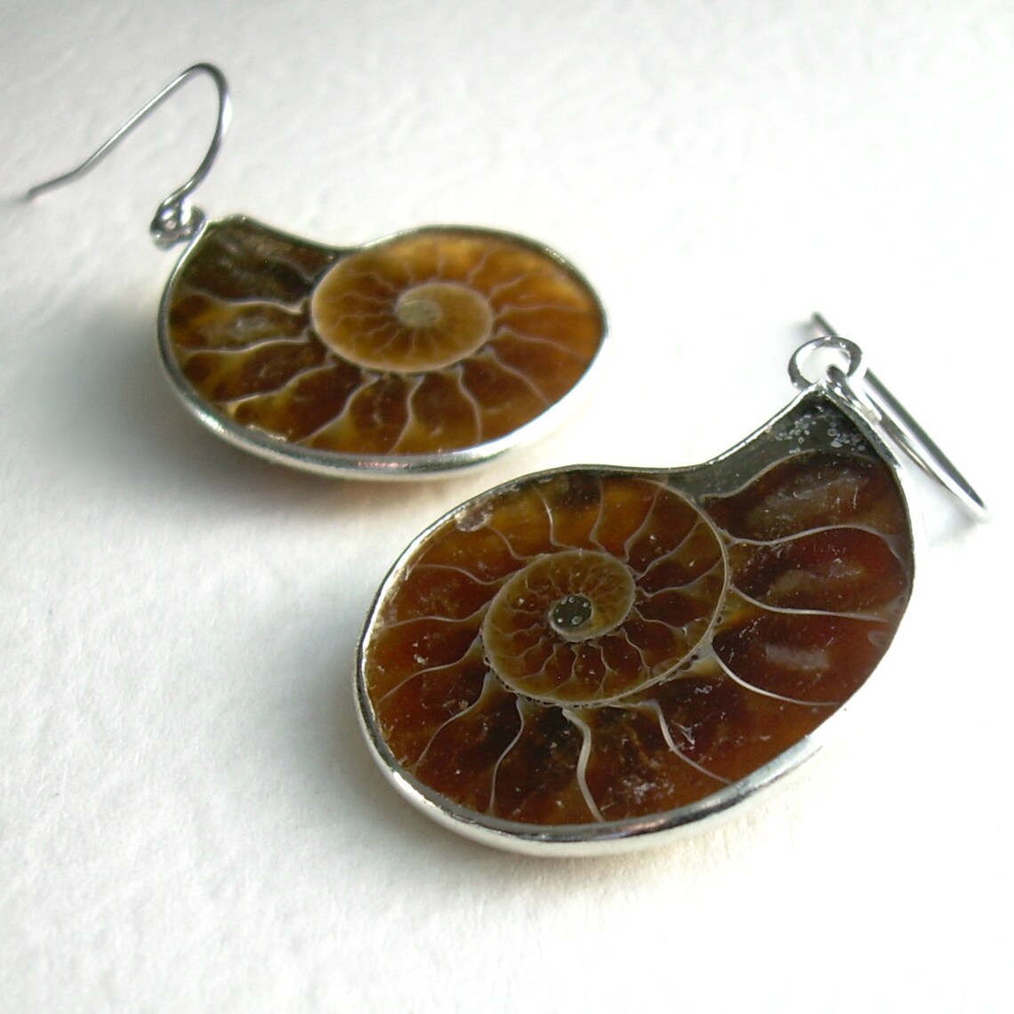 Ammonite Fossil Jewelry Nautilus Earrings Fossilized Brown Etsy