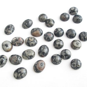 May include: A collection of 20 oval-shaped, black and grey fossilized stone cabochons. The stones have a natural, organic pattern with hints of pink and white.
