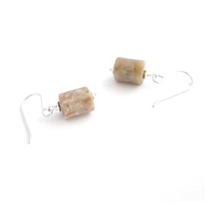 Genuine Coprolite Earrings, Fossilized Dinosaur Poop Jewelry image 8