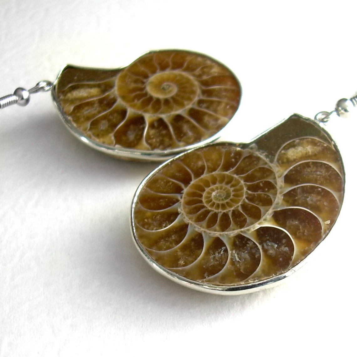 Ammonite Fossil Jewelry Nautilus Earrings Fossilized Brown Etsy