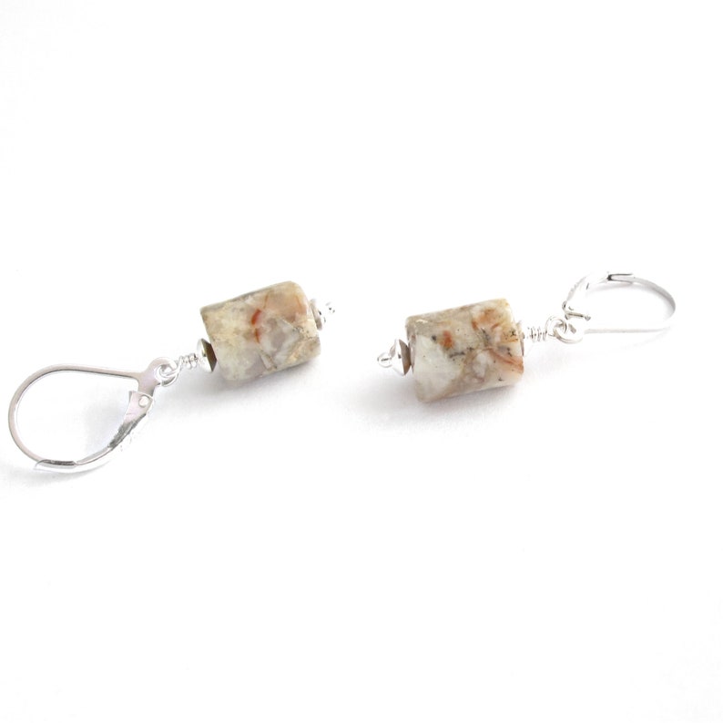 Genuine Coprolite Earrings, Fossilized Dinosaur Poop Jewelry Orange, Beige, Black