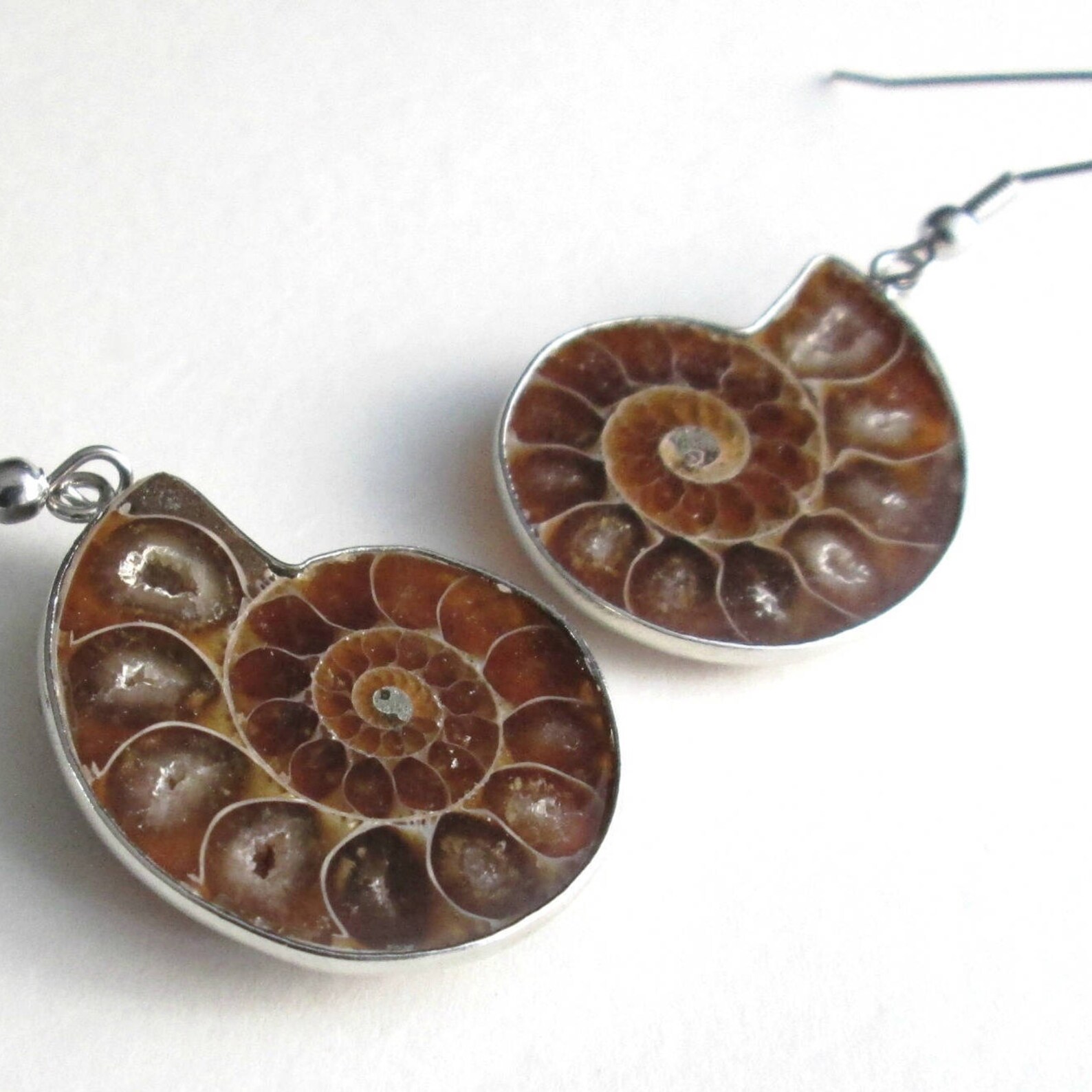 Ammonite Fossil Jewelry Nautilus Earrings Fossilized Brown Etsy