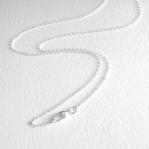 May include: A silver chain necklace with a lobster clasp closure.