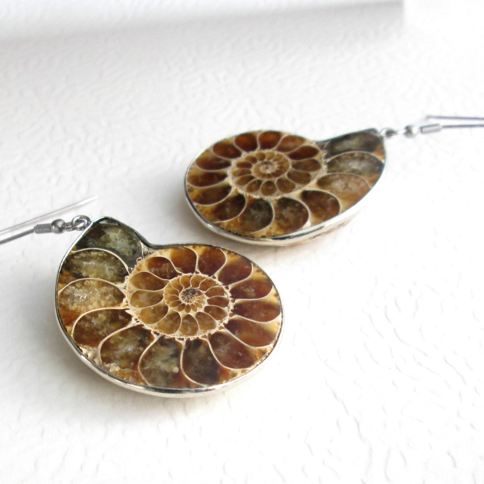 Ammonite Fossil Jewelry Nautilus Earrings Fossilized Brown Etsy