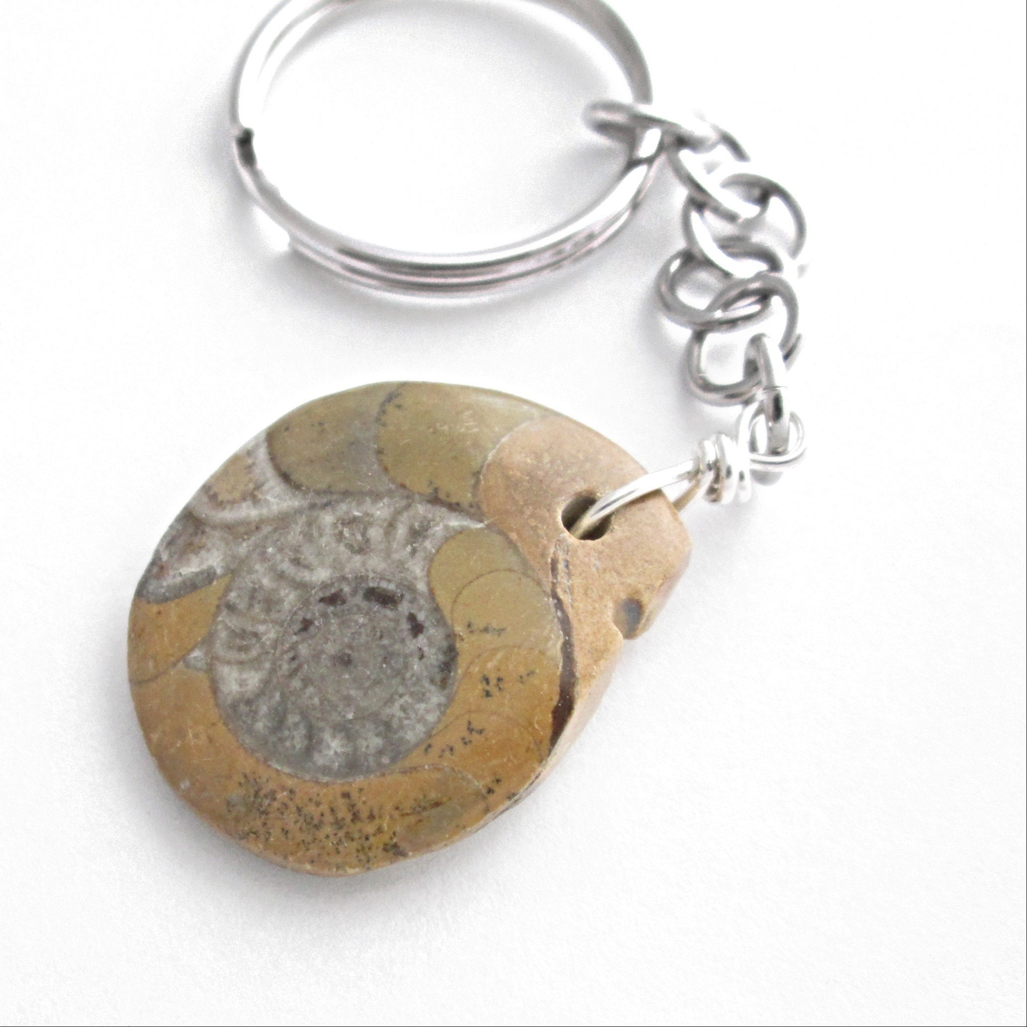 fossil key ring