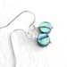 see more listings in the Paua Abalone Shell Earrings section