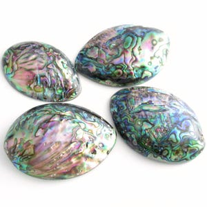 May include: Four oval abalone shells with a shimmering, iridescent surface. The shells exhibit a variety of colours, including blues, greens, purples, and pinks, with a textured, swirling pattern. The shells are polished and display a pearlescent sheen.