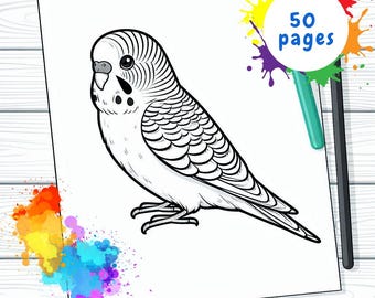 子供向け農場動物ぬり絵本 | 子供向け印刷可能な動物ぬり絵 50 ページ | 未就学児向け印刷可能なぬり絵本