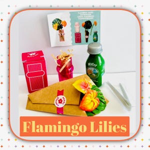 MGA Miniverse Make it Mini - HOME SERIES Wave 1 and 2  - Flamingo Lilies