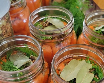 Dill Pickled Carrots