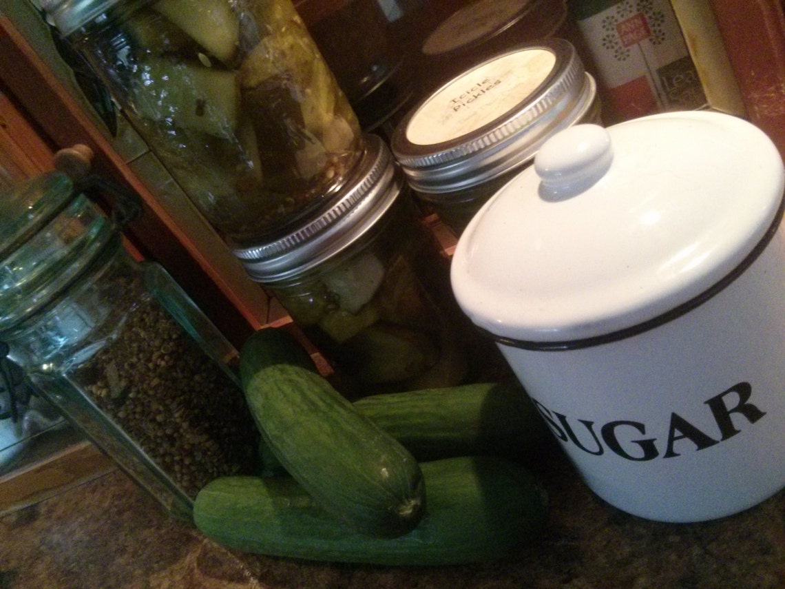 Icicle Cucumber Pickles Etsy Canada