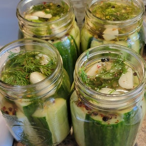 Garlic Dill Pickles