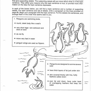 Writing Reports Grades 3-6 Practice Worksheets