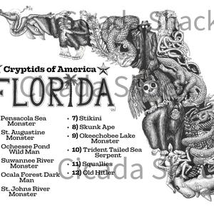 Monsters van Florida kaart kunstafdruk