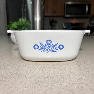 May include: White rectangular casserole dish with a blue floral pattern. The dish has two handles. The floral design features blue flowers and leaves. The dish is on a countertop.