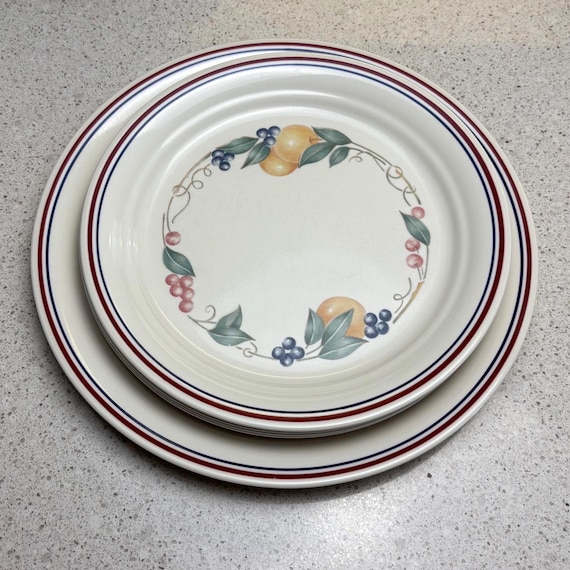 Corelle by Corning 1990s Simple Abundance Medium 8.5 Inch and