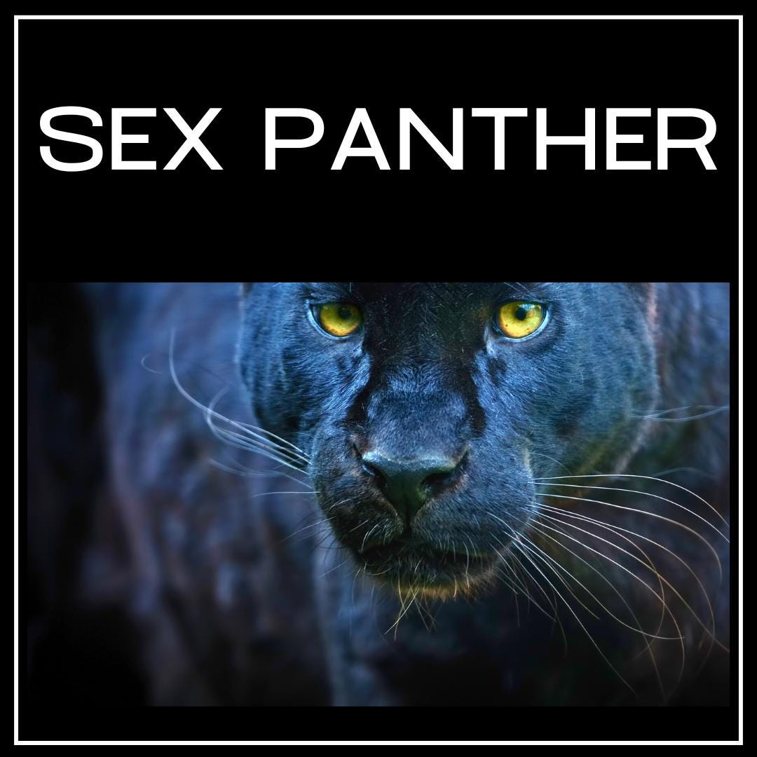 Sex Panther Singapore