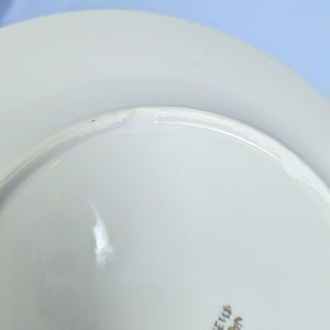 May include: Close-up of a white ceramic plate with a slightly curved rim. The plate has a glossy finish and a small area of damage on the rim. The bottom of the plate has a gold-coloured design.