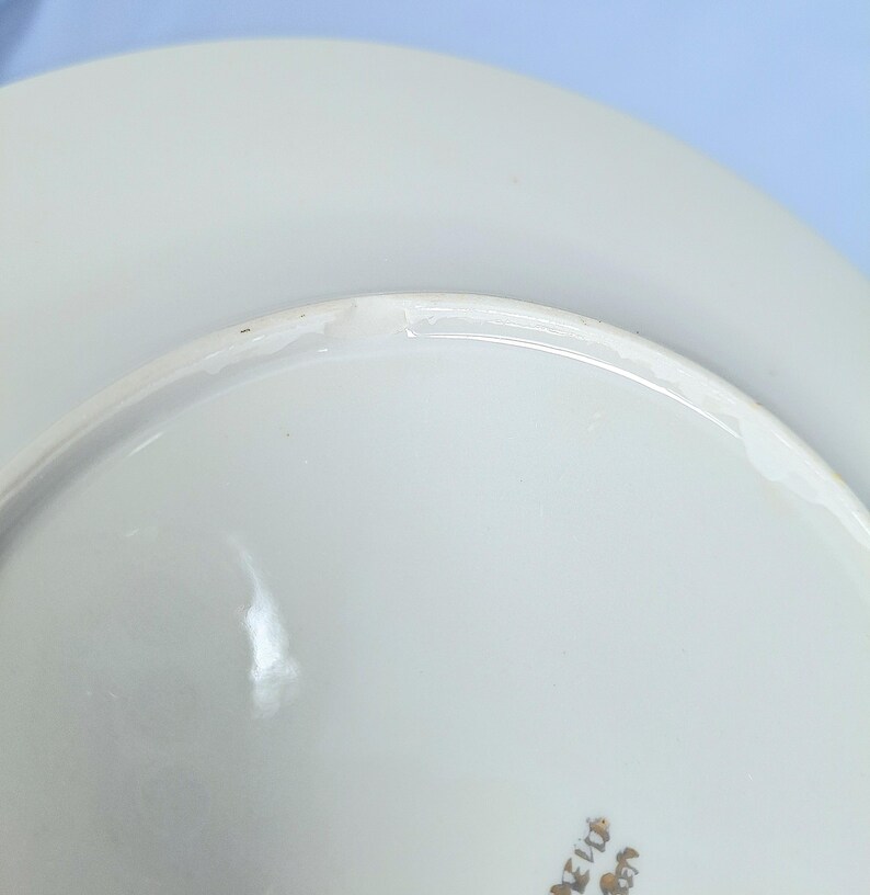 May include: Close-up of a white ceramic plate with a slightly curved rim. The plate has a glossy finish and a small area of damage on the rim. The bottom of the plate has a gold-coloured design.