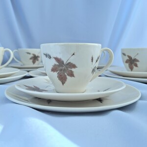 Vintage Royal Doulton Tumbling Leaves Kaffee-Set, Bone China, England. 19teilig Bild 12