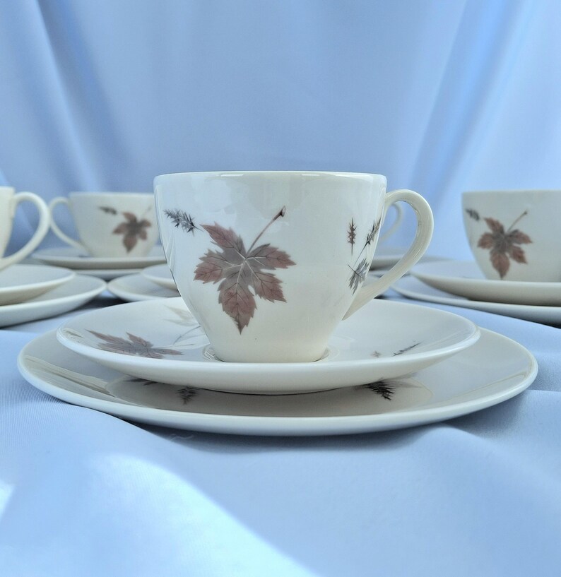 Vintage Royal Doulton Tumbling Leaves Kaffee-Set, Bone China, England. 19teilig Bild 12