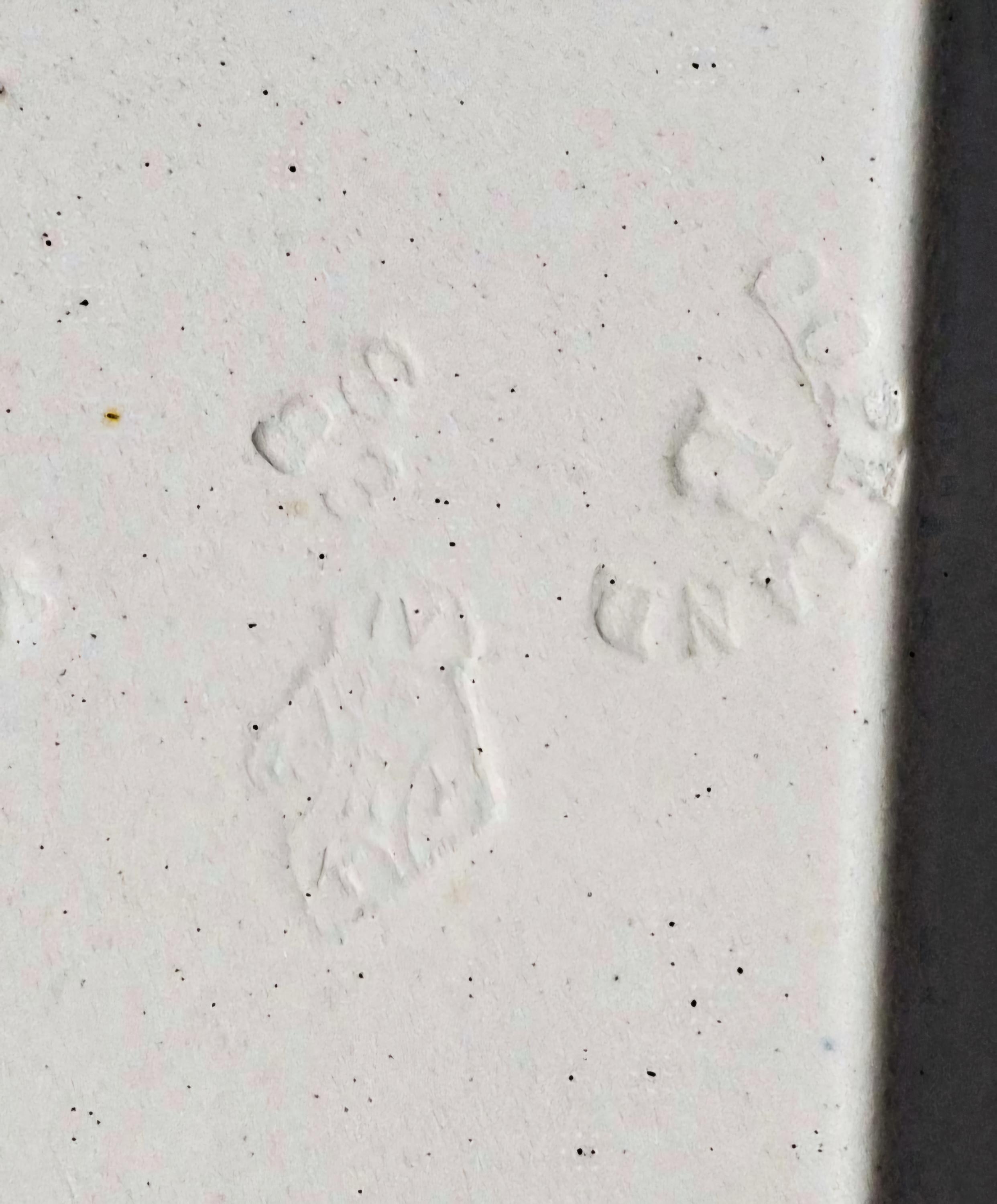 Antique Copeland -XL Oval Serving Plate — image 7