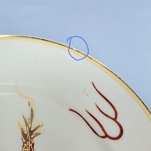 May include: Close-up of a white ceramic plate with a gold rim and decorative brown and gold accents. The plate features a stylized design, possibly floral or abstract, with a gold border. The plate is set against a light blue background.