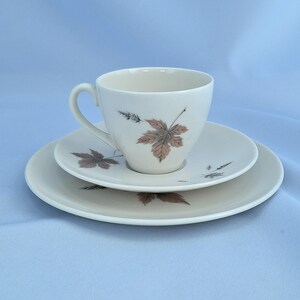 Vintage Royal Doulton Tumbling Leaves Kaffee-Set, Bone China, England. 19teilig Bild 18