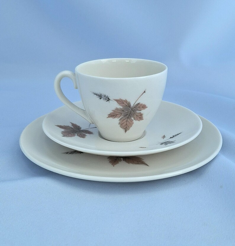 Vintage Royal Doulton Tumbling Leaves Kaffee-Set, Bone China, England. 19teilig Bild 18
