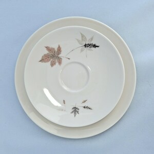Vintage Royal Doulton Tumbling Leaves Kaffee-Set, Bone China, England. 19teilig Bild 11