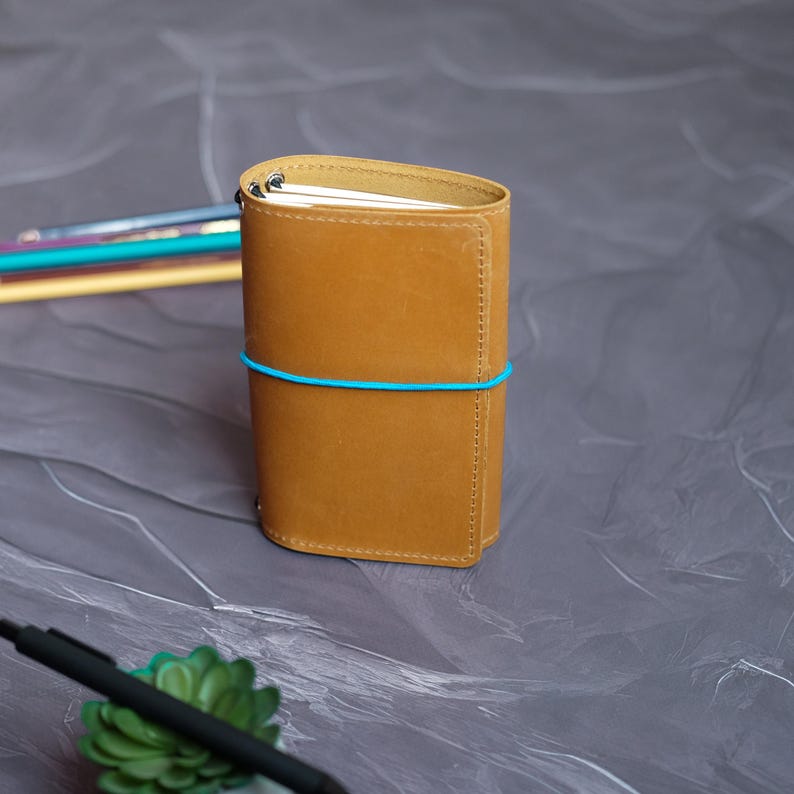 May include: A tan leather journal with a blue elastic band closure. The journal is rectangular with rounded edges and a stitched spine. A pen and a small succulent are in the foreground.