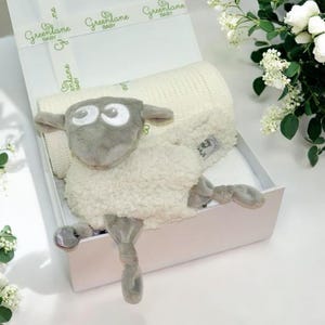 New Baby Gift Set, Sheep Theme gift, Neutral Baby Gift, Baby Shower Gift, Baby Gift Box, Cute Snuggly Sheep, 7 Blanket Colours Available