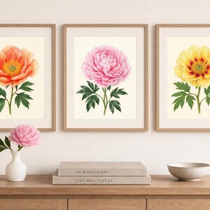 May include: Three framed botanical art prints featuring a peach peony, a pink peony, and a yellow peony with green leaves on a cream background. Each print is housed in a light wood frame, displayed in a horizontal row on a wall.