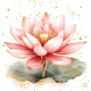 Waterlily Clipart Set: Watercolor Flower Designs for Junk Journals (Digital Download, JPGs 4096x4096px)