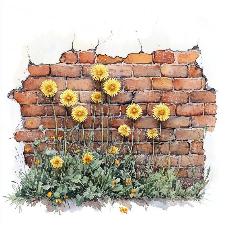 Pode incluir: Uma pintura em aquarela de uma parede de tijolos com dentes-de-le&atilde;o amarelos crescendo nas rachaduras. A parede est&aacute; parcialmente quebrada e os dentes-de-le&atilde;o est&atilde;o em plena flora&ccedil;&atilde;o.