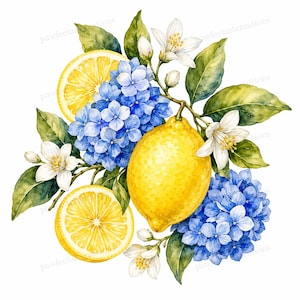 20 imágenes prediseñadas de limones mediterráneos, imágenes JPG de limones en acuarela azul y amarilla, descarga digital, uso comercial.